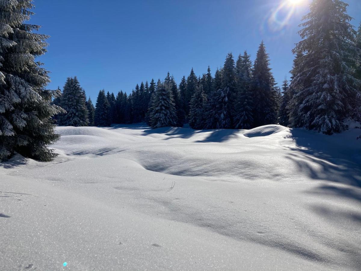 Apartmany Hacienda Boží Dar Exteriör bild